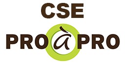 CSE Pro à Pro - Somain